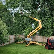 Best Lawn Irrigation Installation and Maintenance  in Gladeville, TN