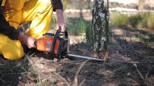 Best Lawn Drainage Solutions  in Gladeville, TN
