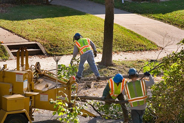 Best Lawn Watering Services  in Gladeville, TN