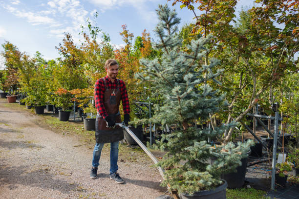 Best Tree Risk Assessment  in Gladeville, TN