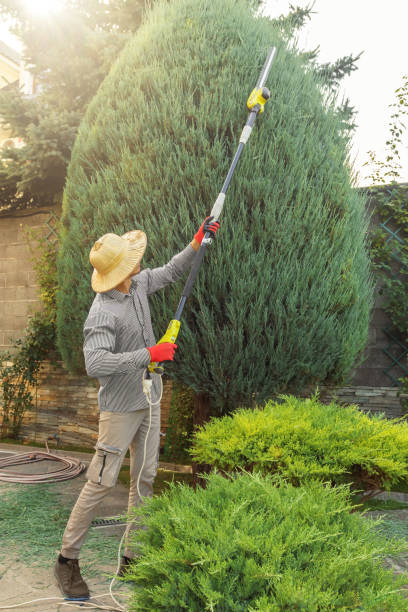 Best Hedge Trimming  in Gladeville, TN
